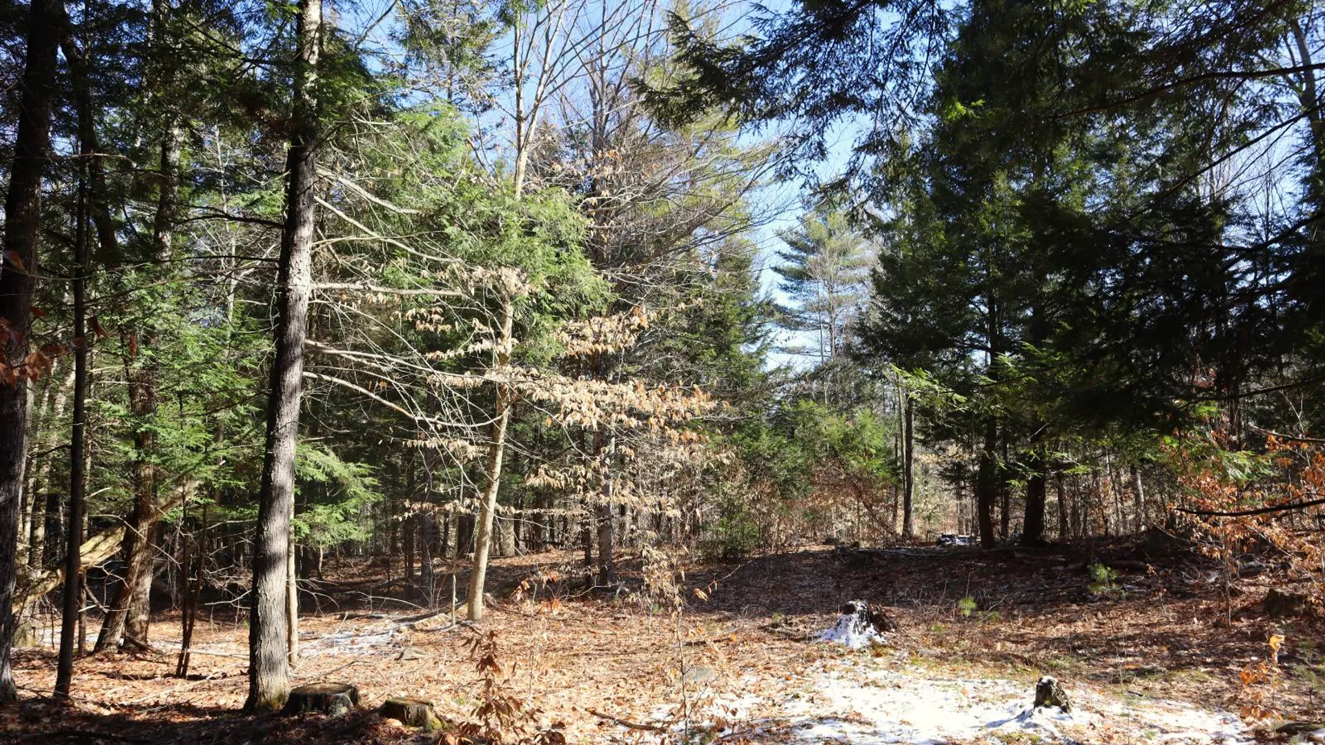 Property at 825 Glen-Athol Rd, Warrensburg, NY 12885 53