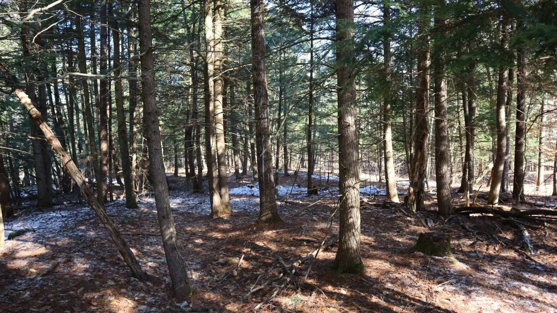 Property at 825 Glen-Athol Rd, Warrensburg, NY 12885 54