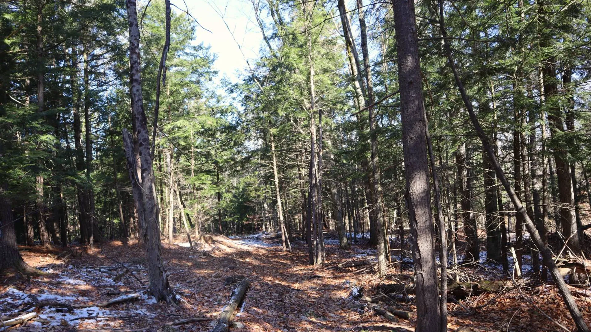 Property at 825 Glen-Athol Rd, Warrensburg, NY 12885 55