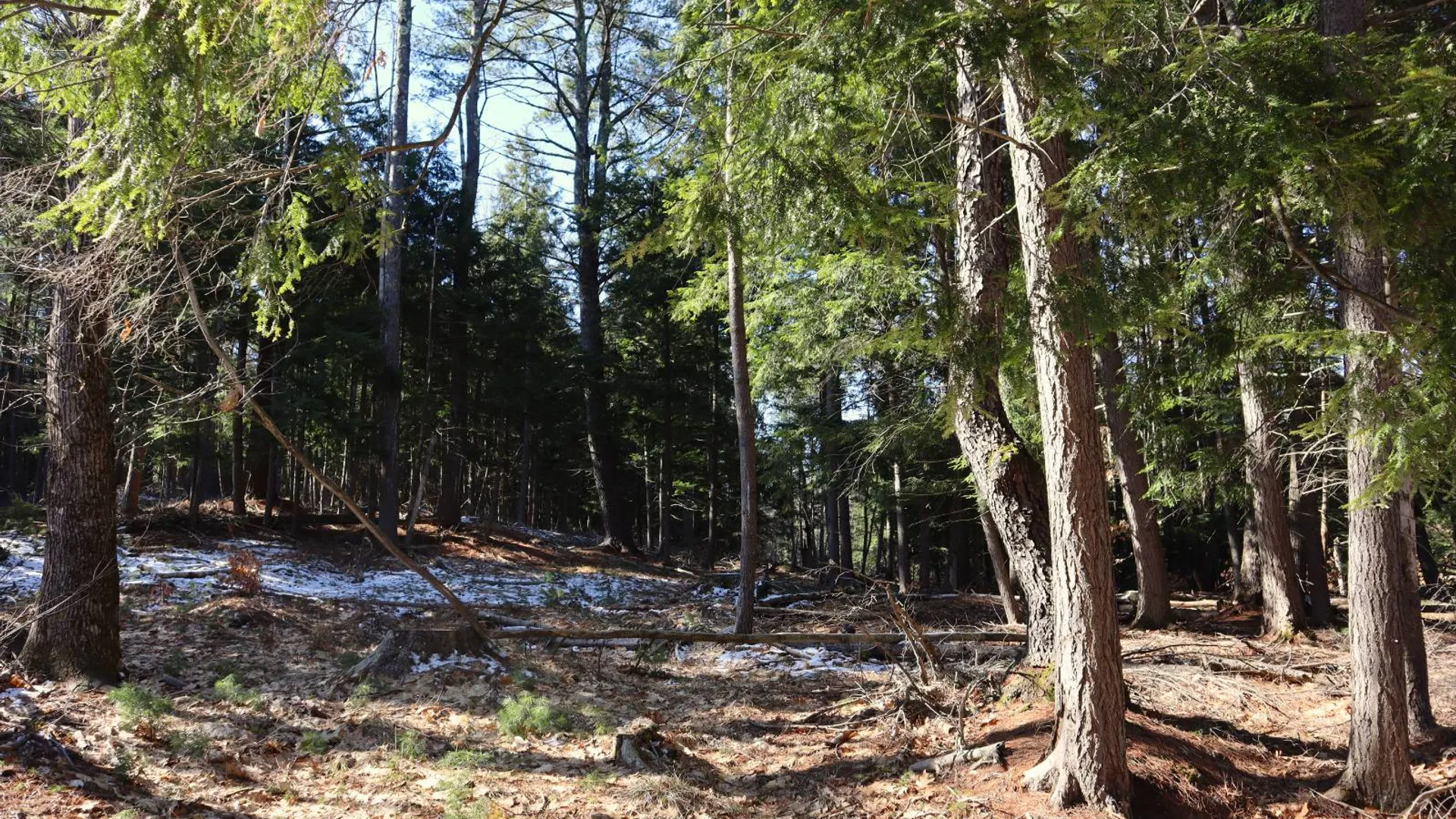 Property at 825 Glen-Athol Rd, Warrensburg, NY 12885 56