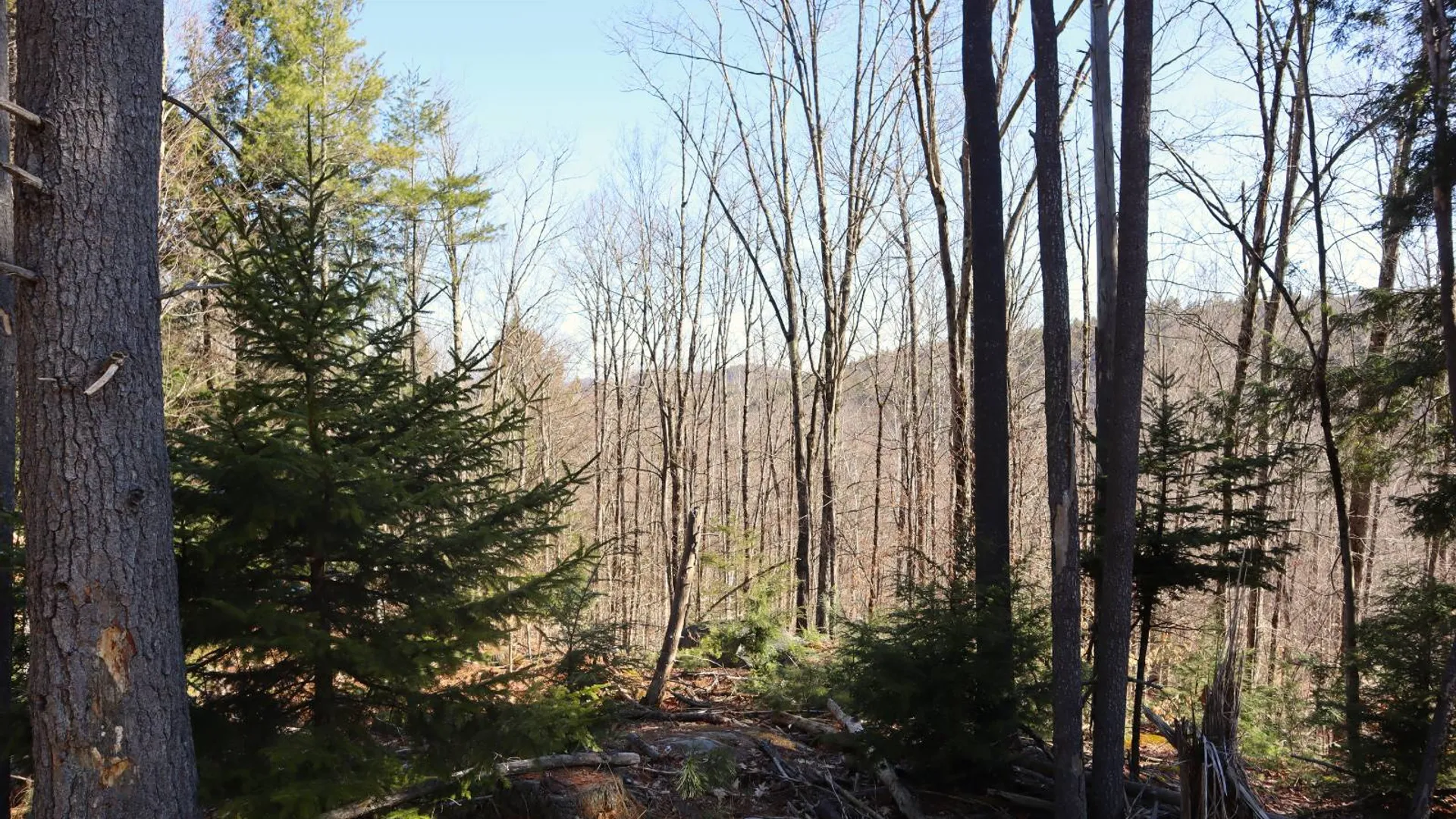 Property at 825 Glen-Athol Rd, Warrensburg, NY 12885 57