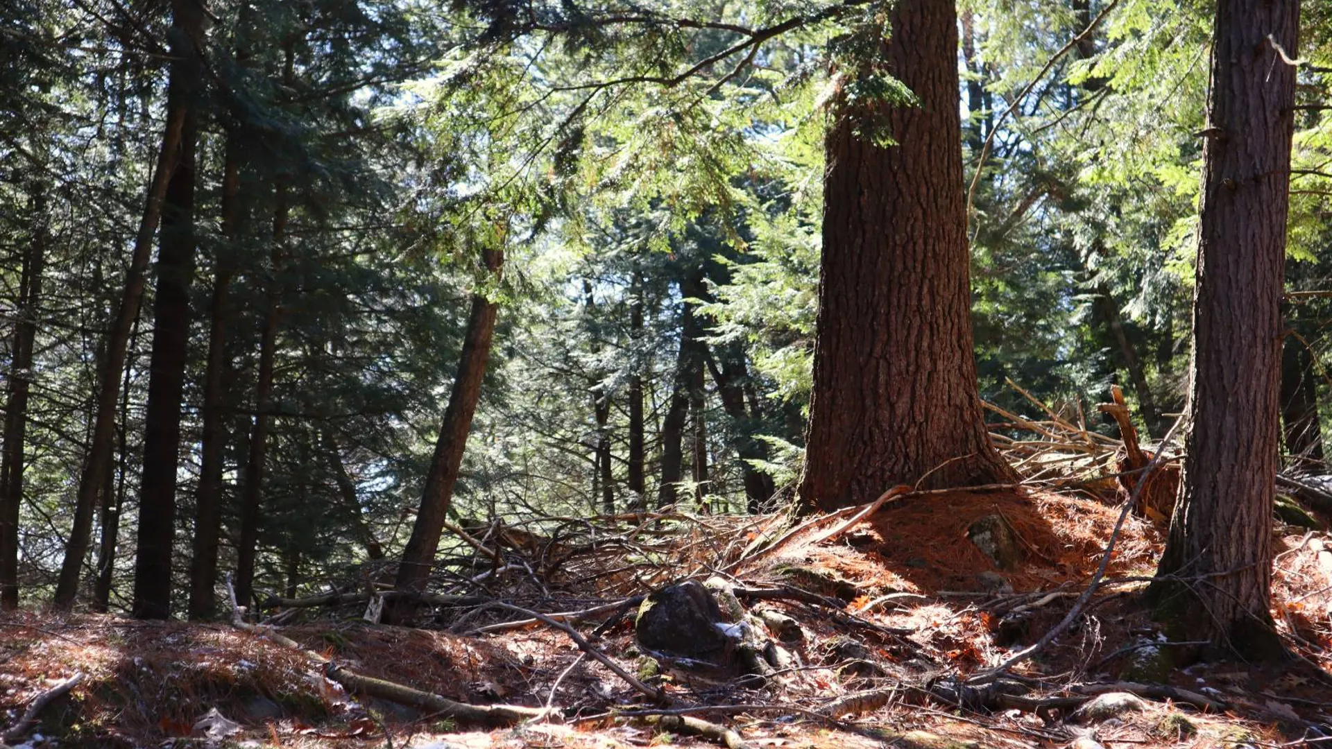 Property at 825 Glen-Athol Rd, Warrensburg, NY 12885 58