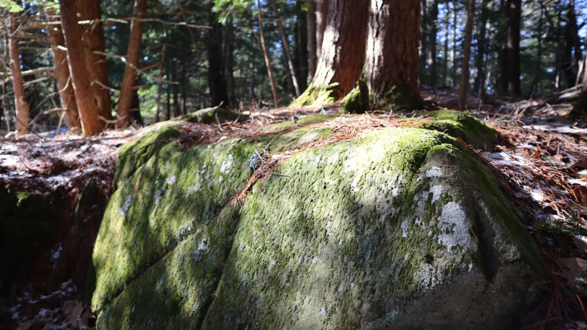 Property at 825 Glen-Athol Rd, Warrensburg, NY 12885 59