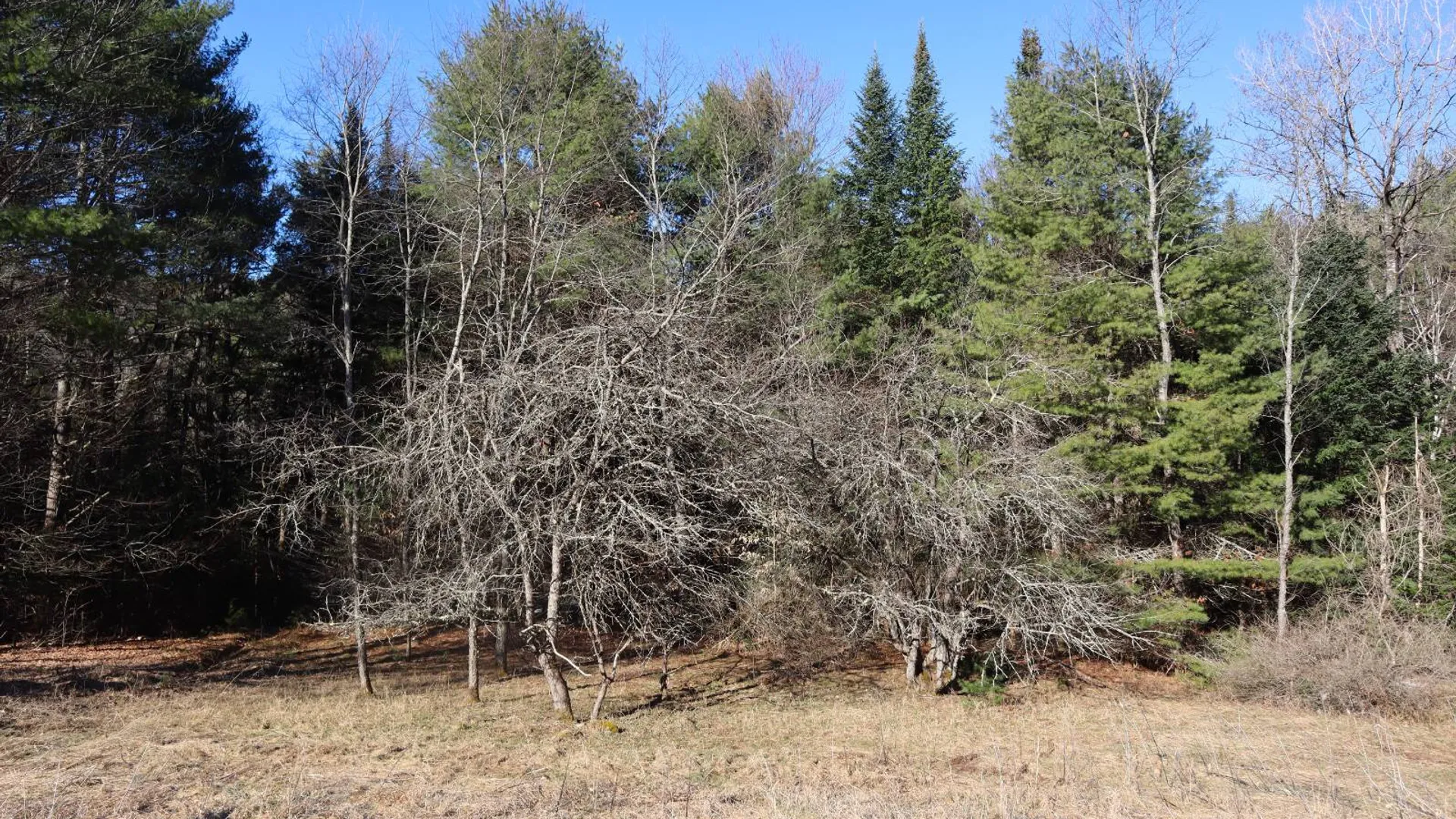 Property at 825 Glen-Athol Rd, Warrensburg, NY 12885 6