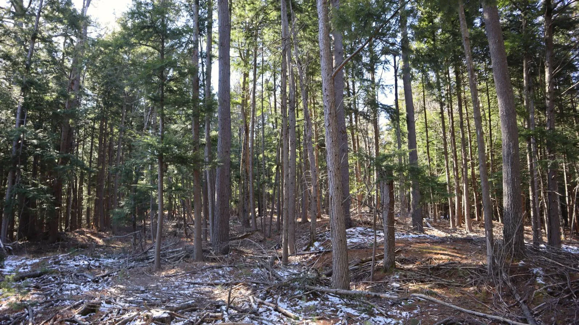 Property at 825 Glen-Athol Rd, Warrensburg, NY 12885 60