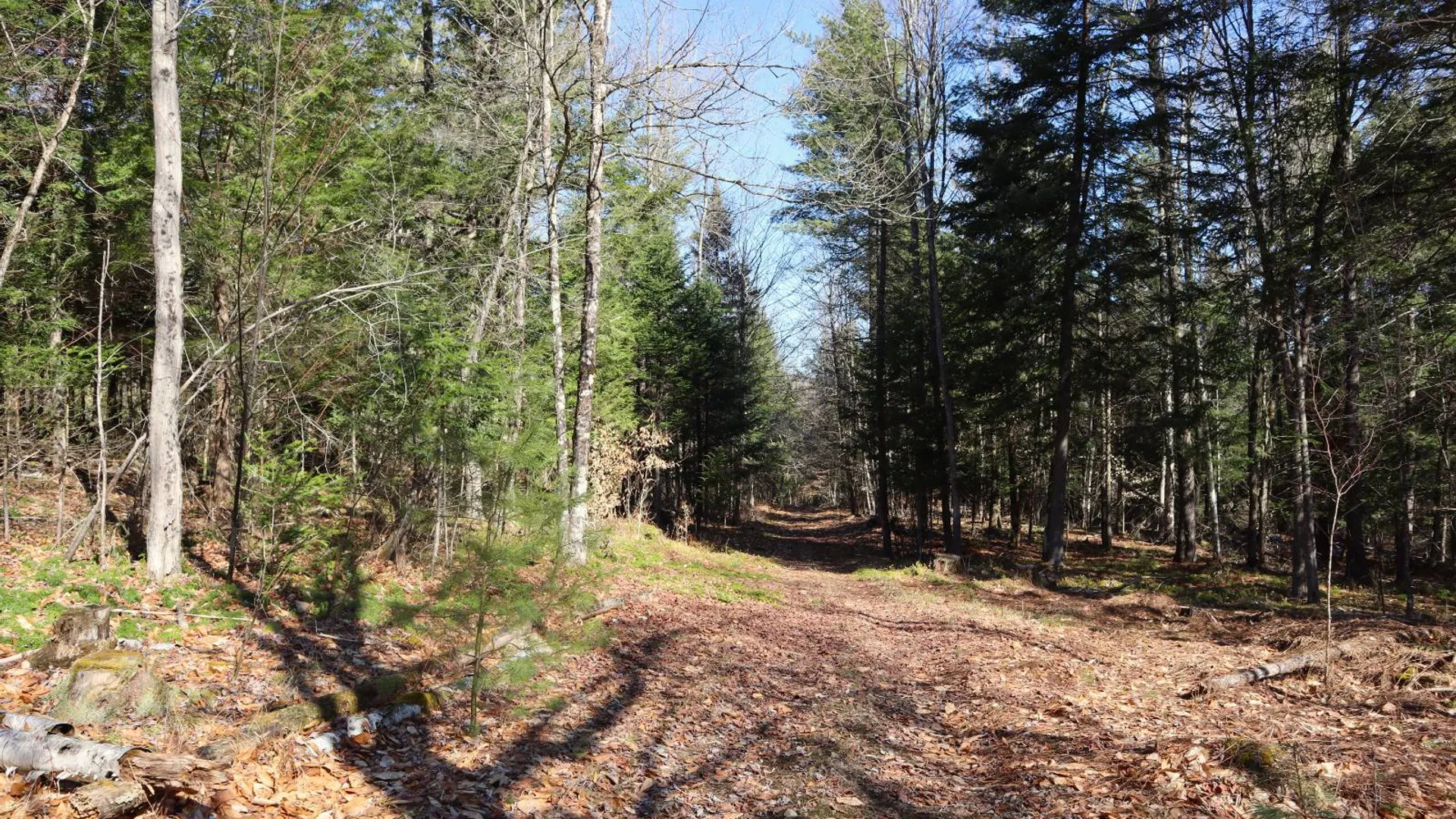 Property at 825 Glen-Athol Rd, Warrensburg, NY 12885 61