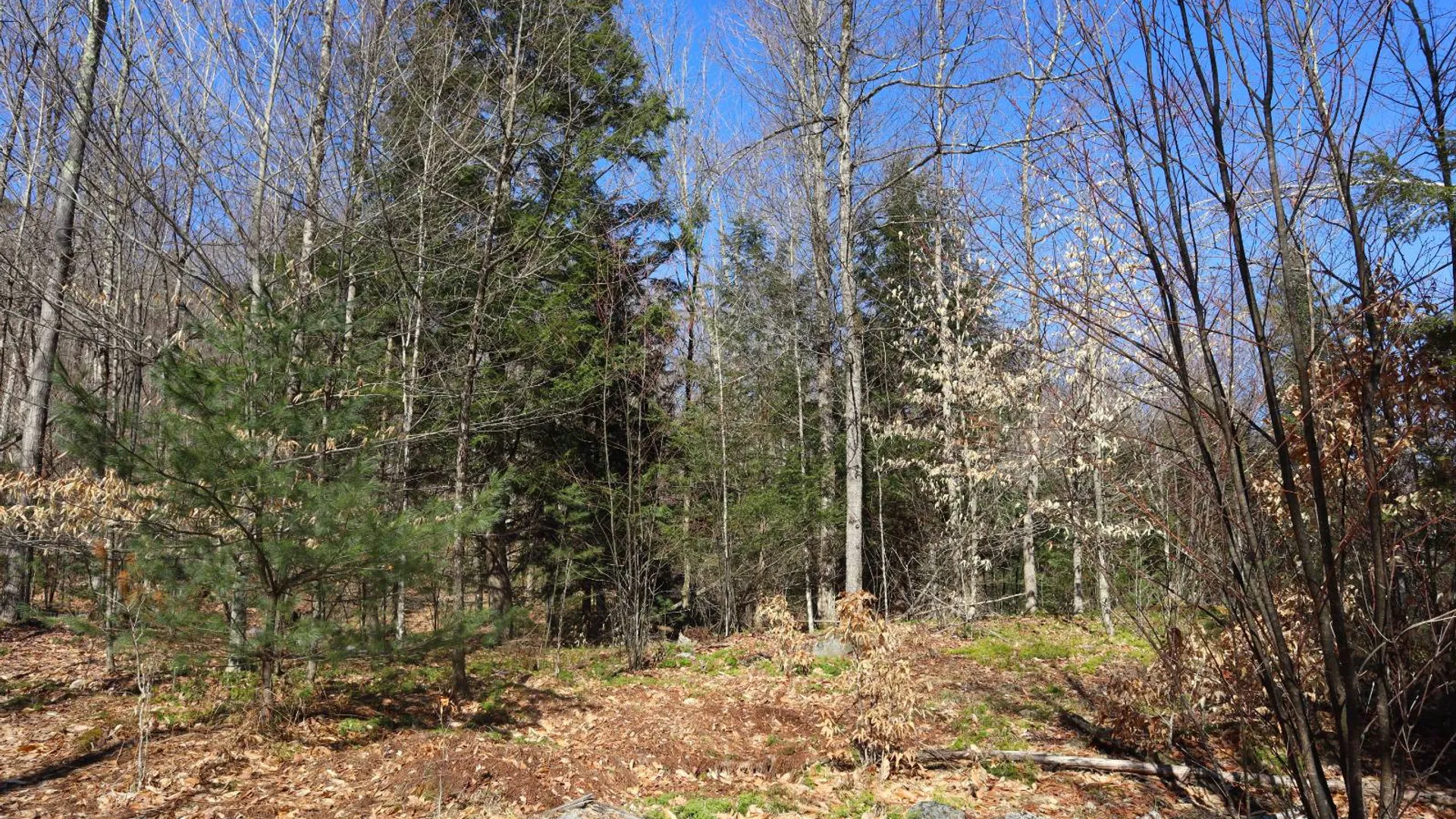 Property at 825 Glen-Athol Rd, Warrensburg, NY 12885 63