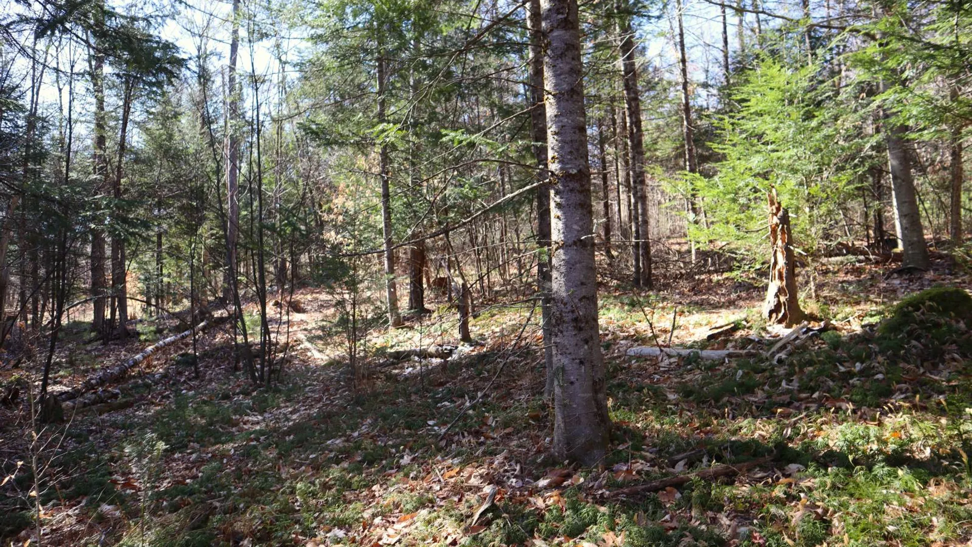 Property at 825 Glen-Athol Rd, Warrensburg, NY 12885 64