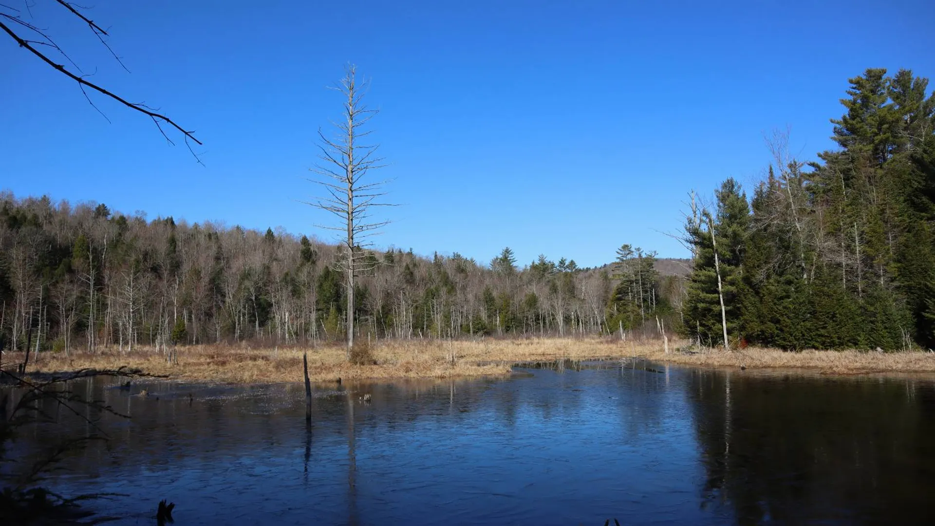 Property at 825 Glen-Athol Rd, Warrensburg, NY 12885 65