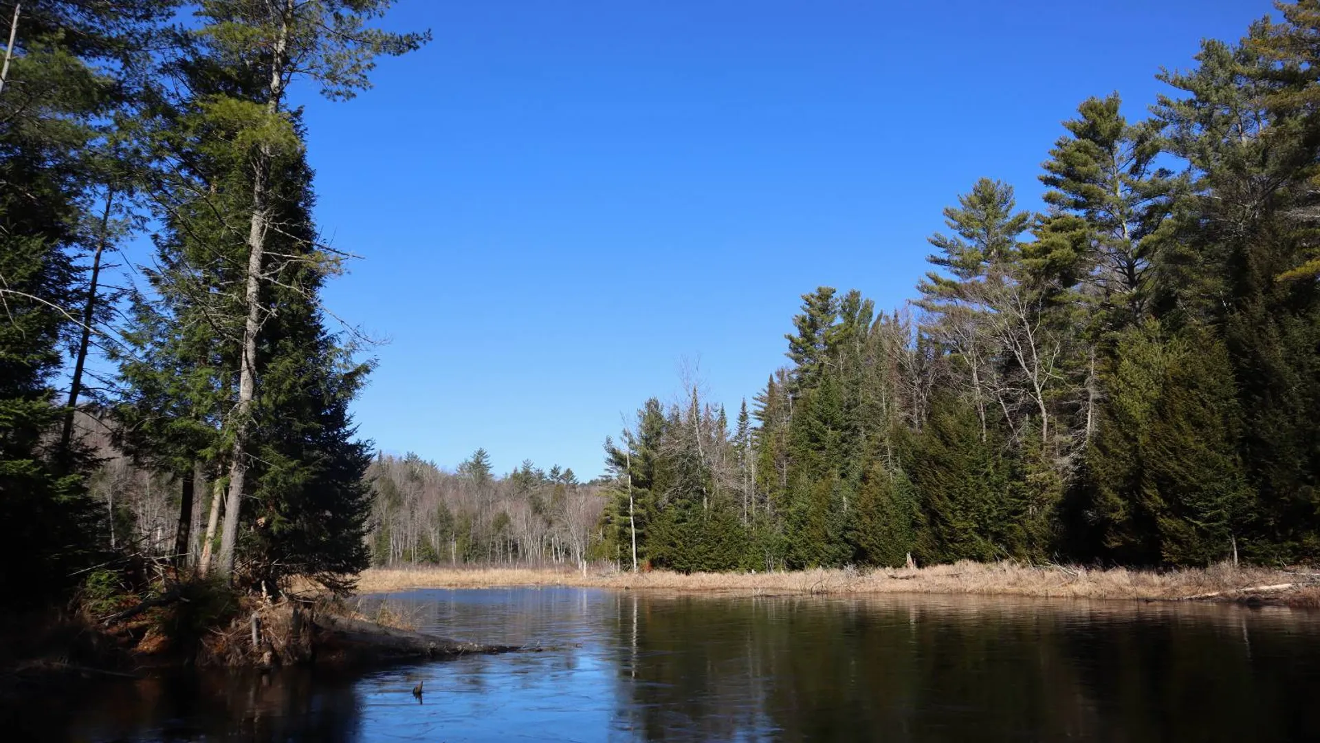 Property at 825 Glen-Athol Rd, Warrensburg, NY 12885 66