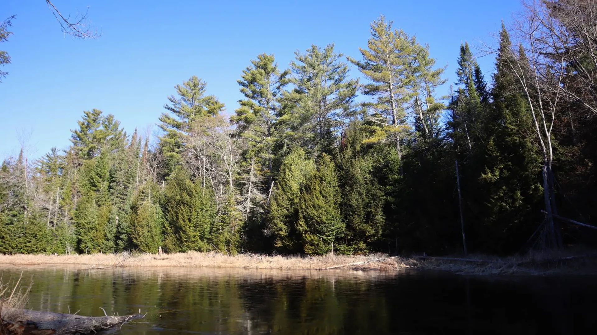 Property at 825 Glen-Athol Rd, Warrensburg, NY 12885 67