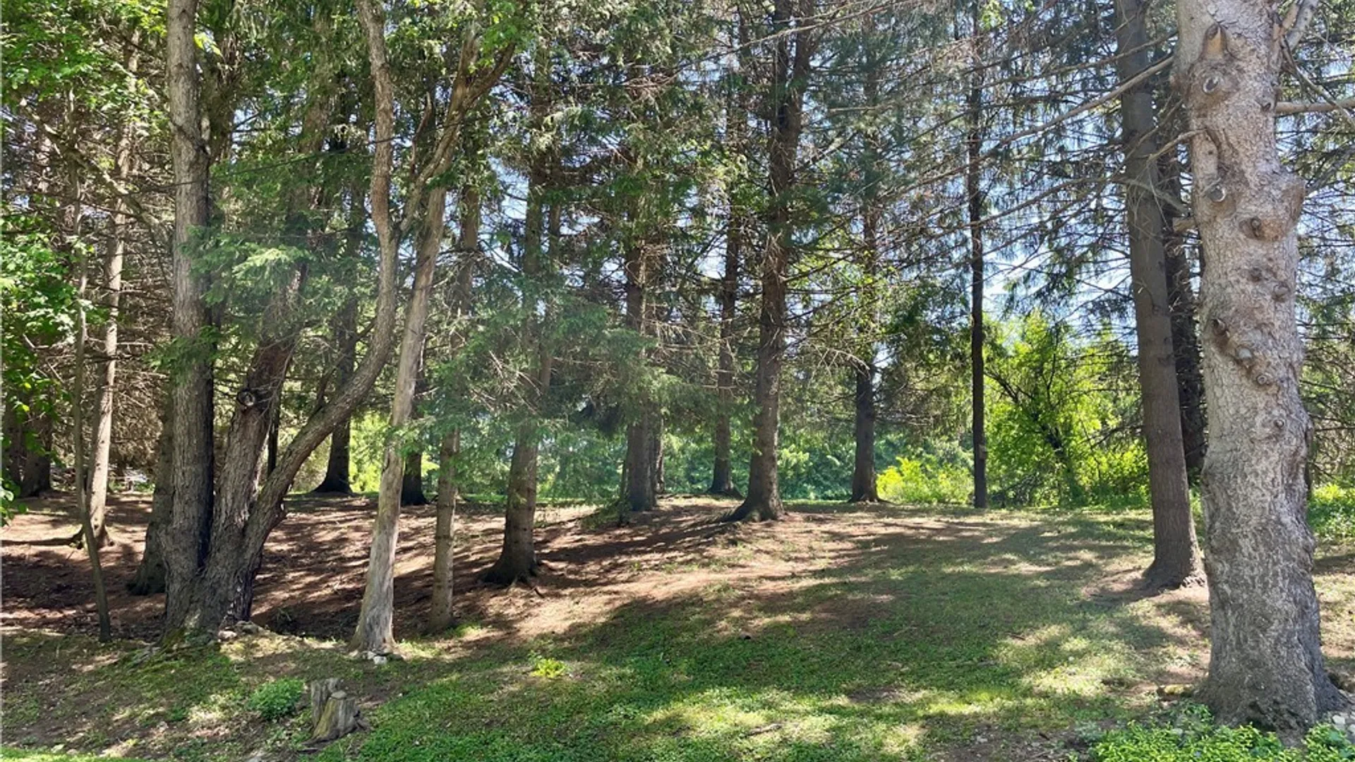 Property at 1547 War-Moose Drive, Freedom, NY 14065 9