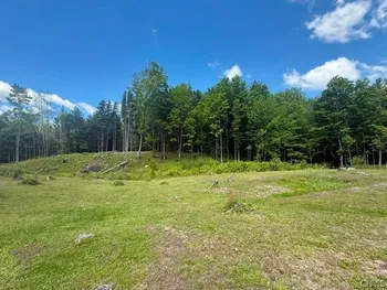 Property at 1055 Albion Cross Road, Albion, NY 13142