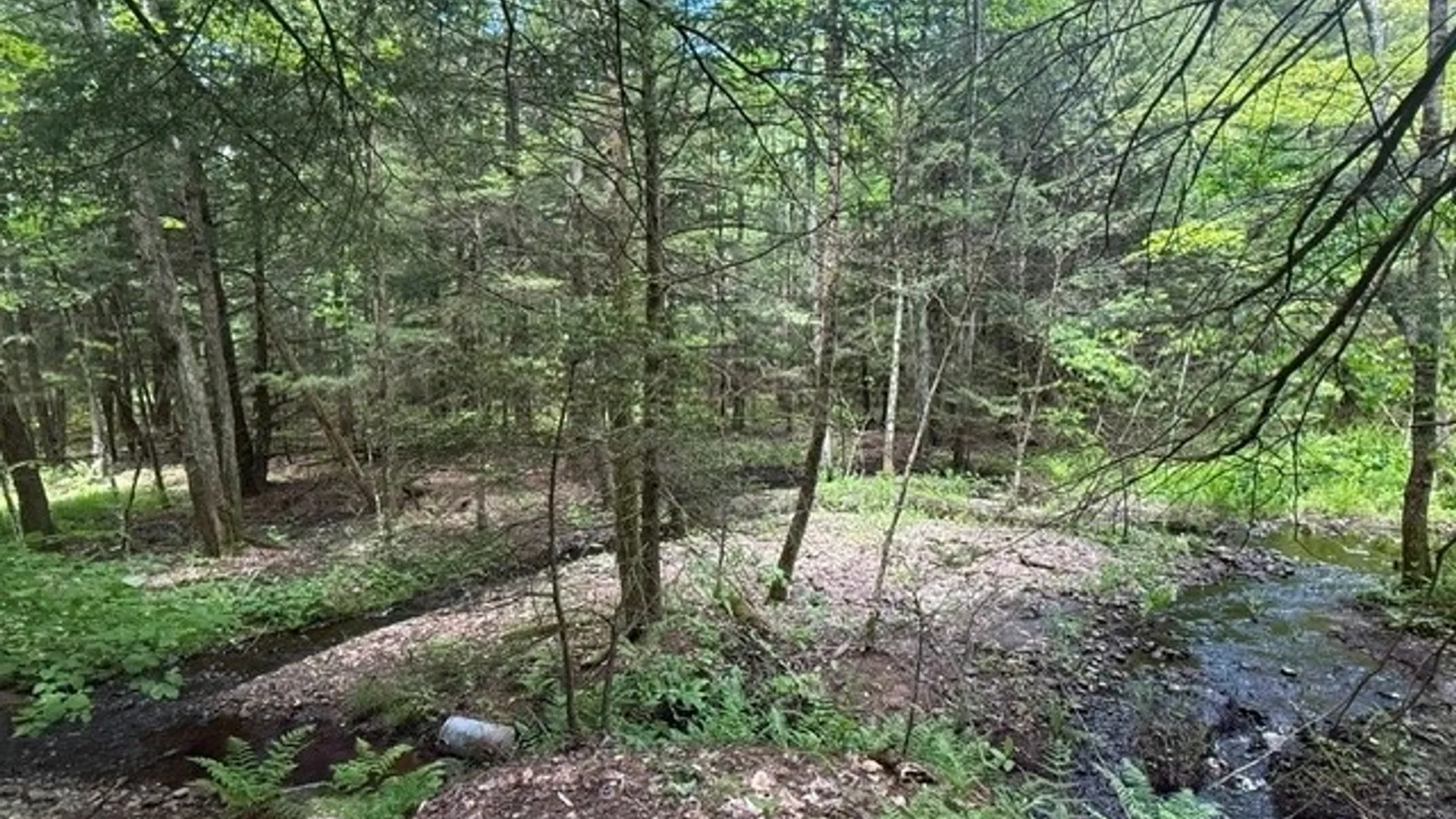 Property at 1055 Albion Cross Road, Albion, NY 13142 5