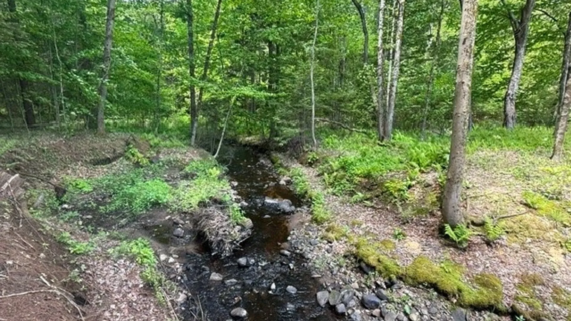 Property at 1055 Albion Cross Road, Albion, NY 13142 9