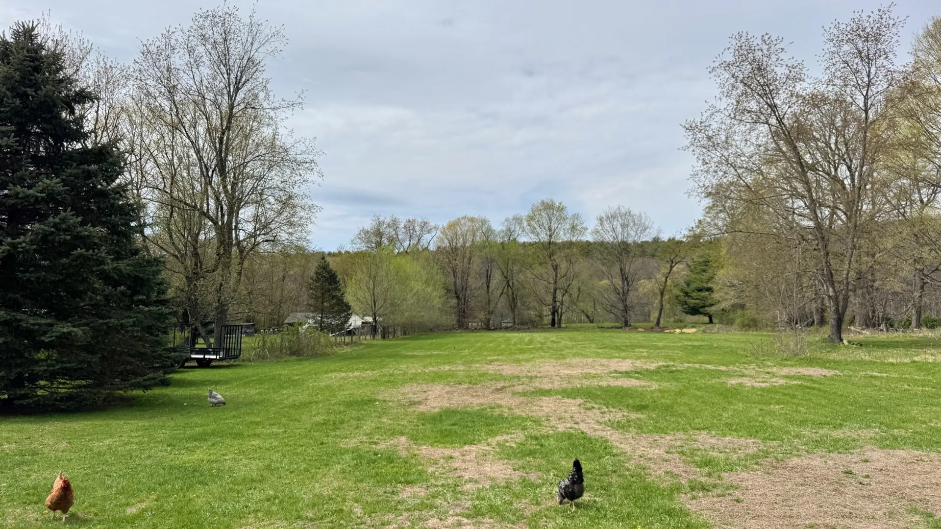 Property at 61 Preusser Rd, Craryville, NY 12521 6