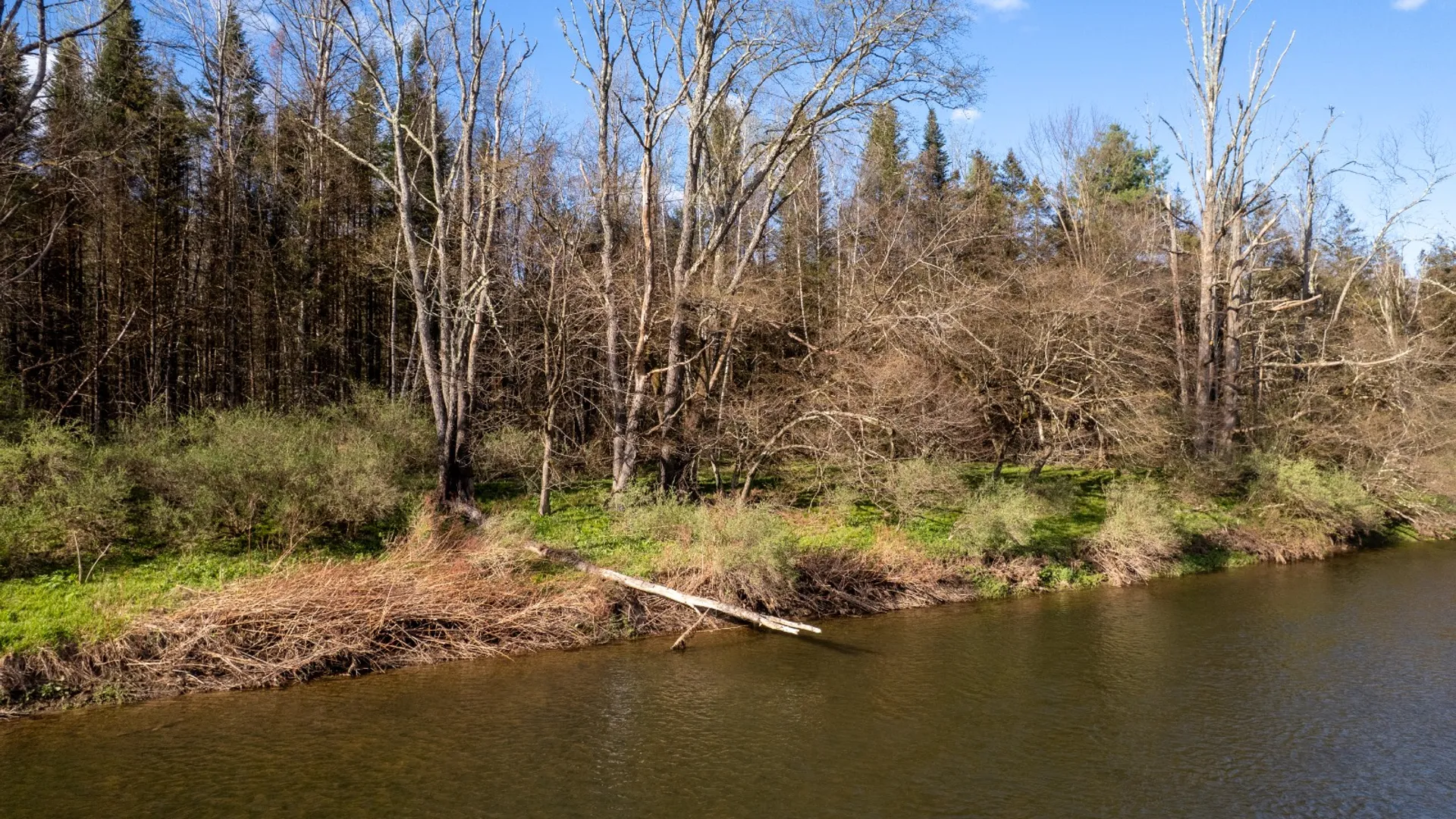 Property at 0 West Branch Angler Way, Hancock, NY 13783 10