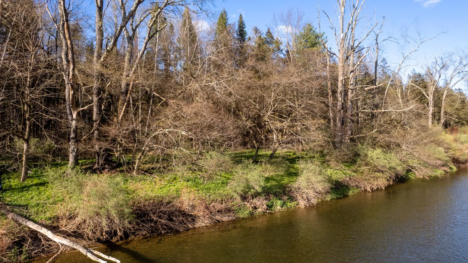 Property at 0 West Branch Angler Way, Hancock, NY 13783 3