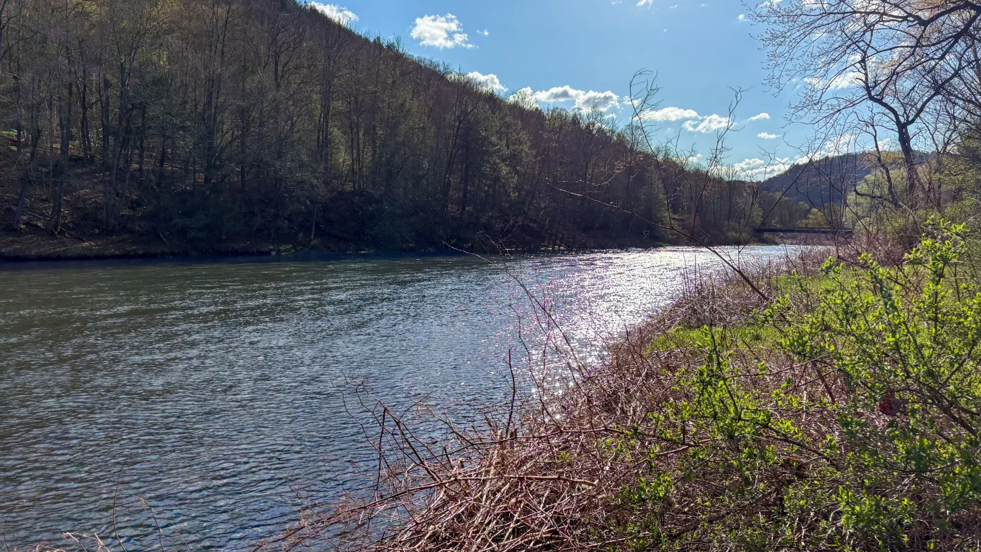 Property at 0 West Branch Angler Way, Hancock, NY 13783 4