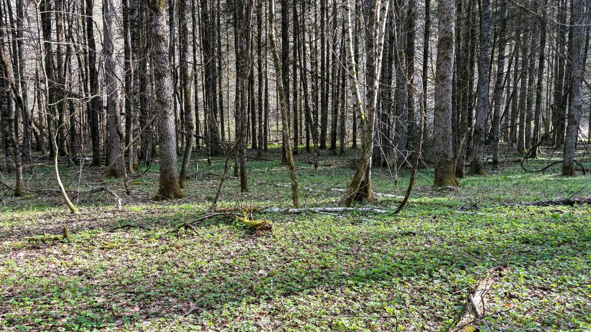 Property at 0 West Branch Angler Way, Hancock, NY 13783 5