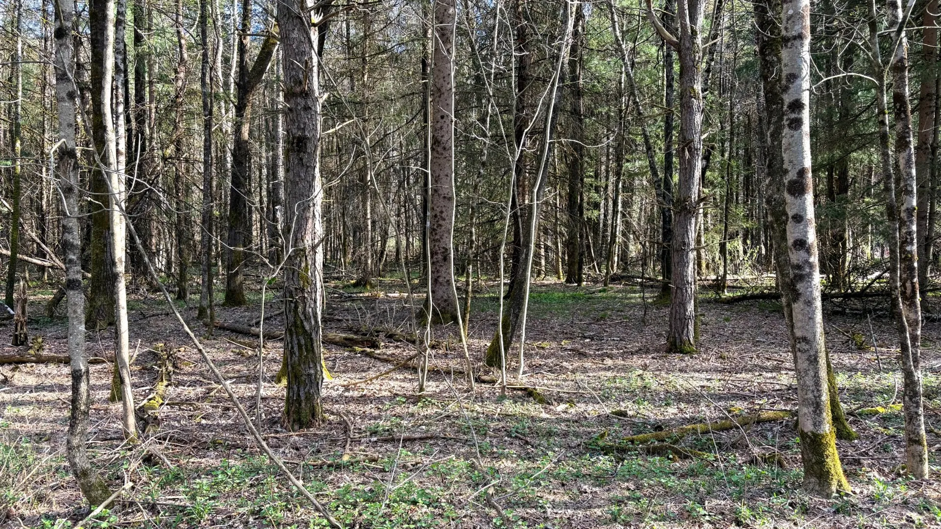 Property at 0 West Branch Angler Way, Hancock, NY 13783 6