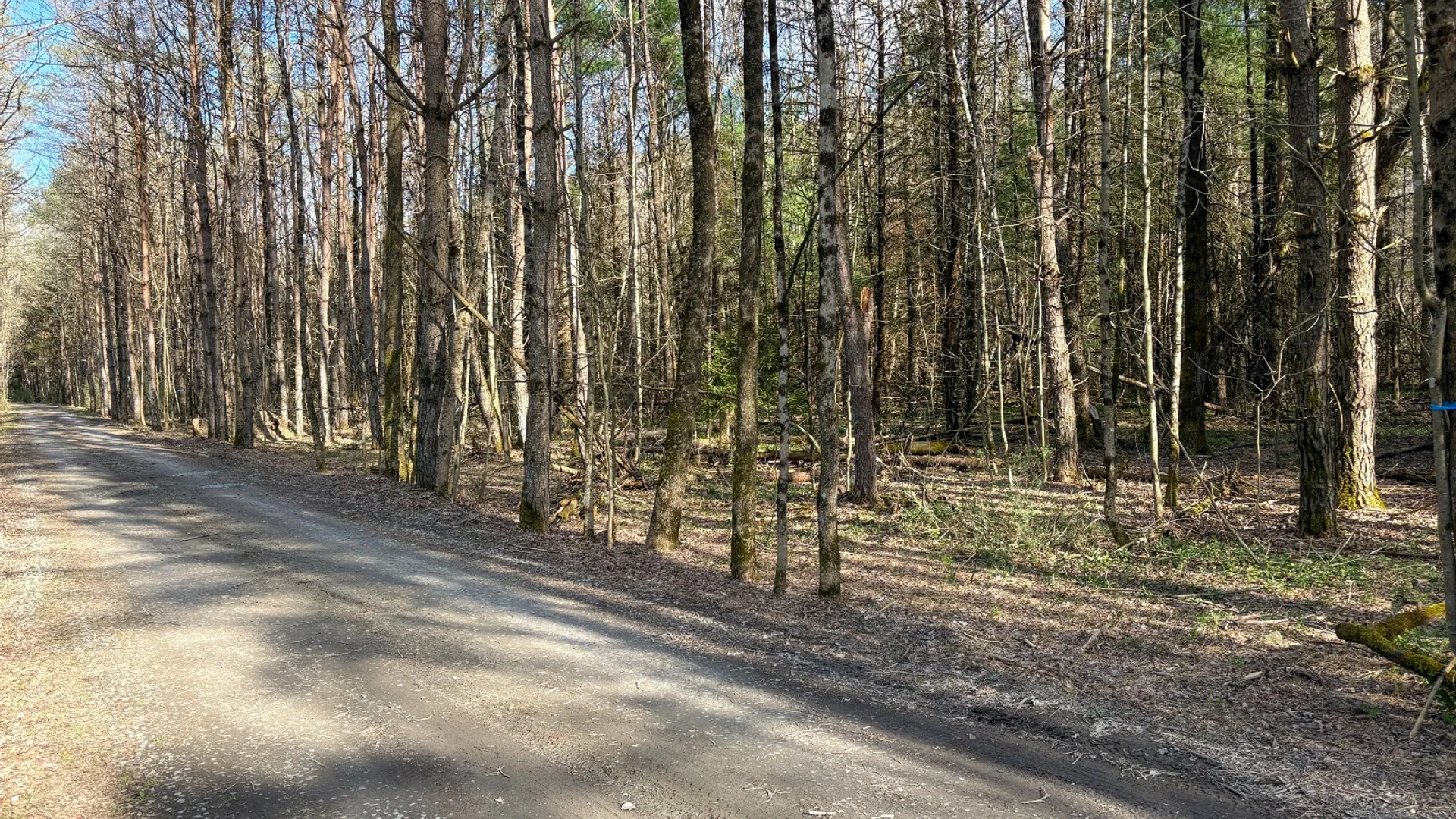 Property at 0 West Branch Angler Way, Hancock, NY 13783 7