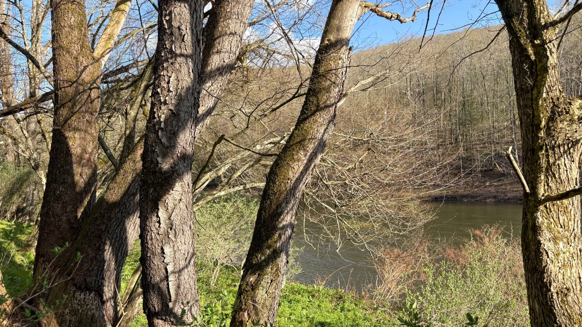 Property at 0 West Branch Angler Way, Hancock, NY 13783 8