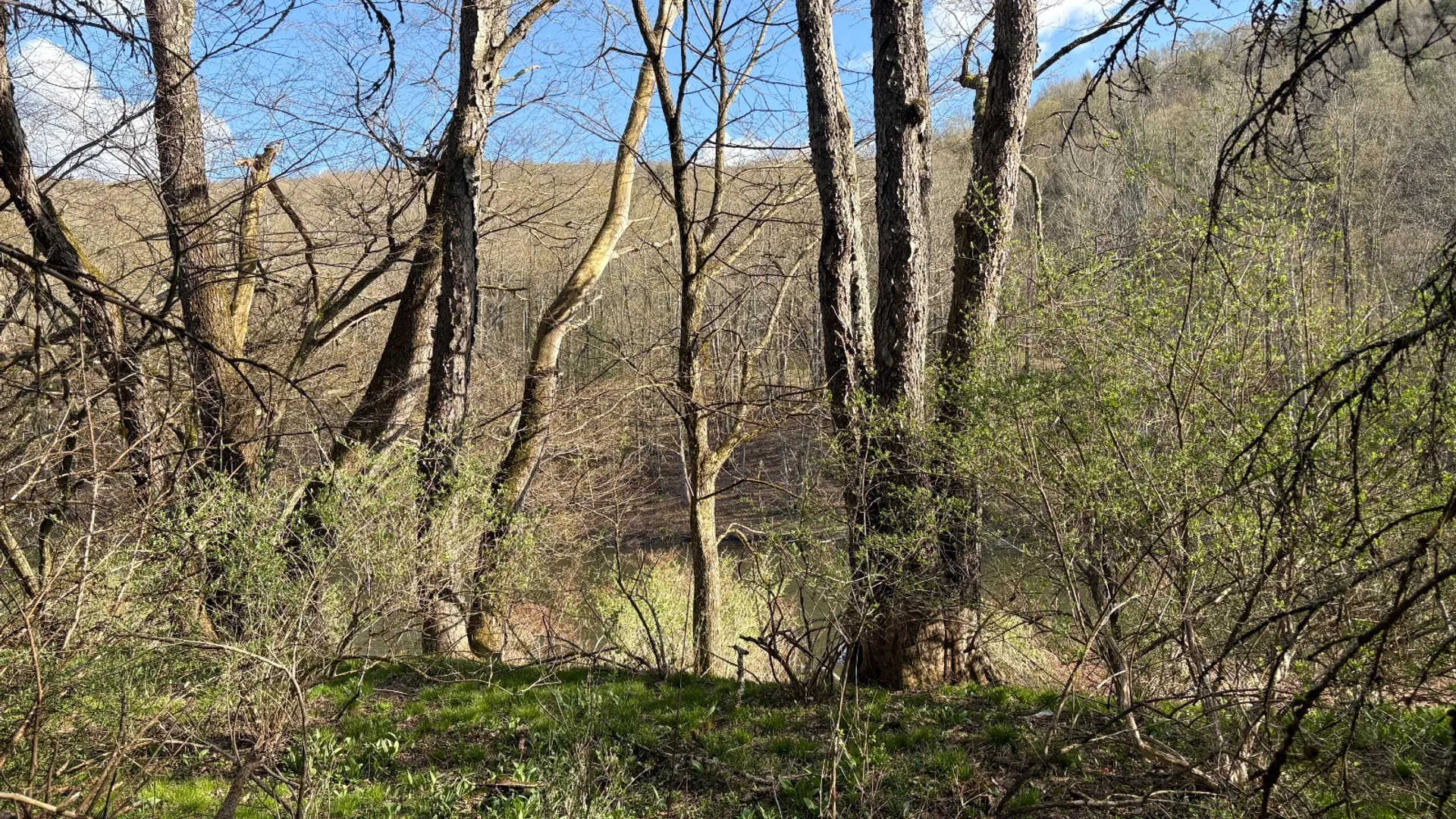 Property at 0 West Branch Angler Way, Hancock, NY 13783 9