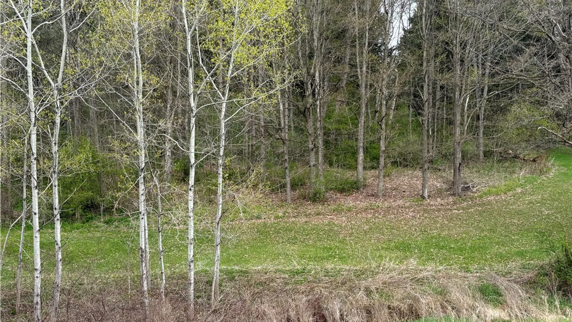 Property at 1344 US Highway 11, Marathon, NY 13803 46