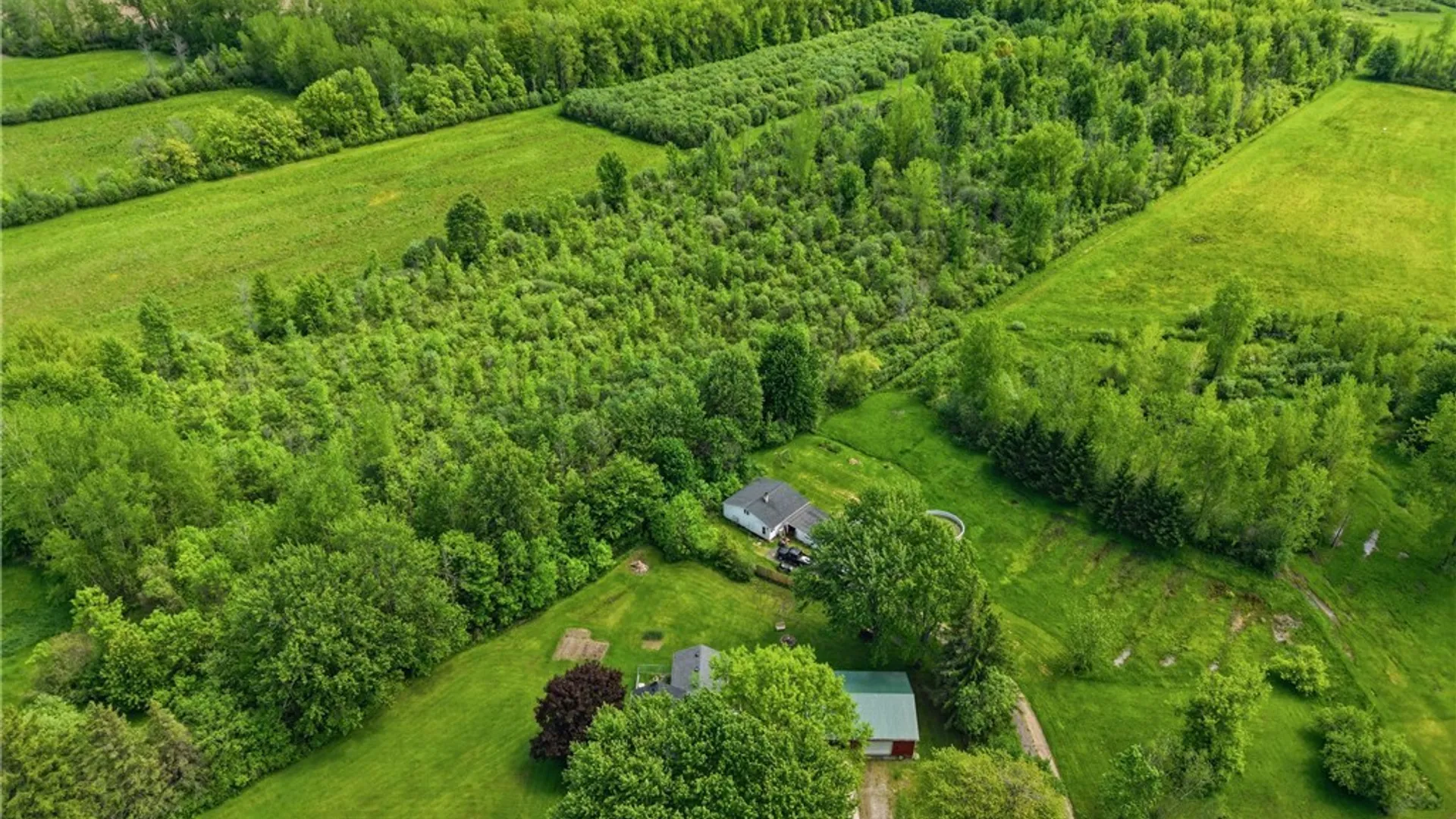 Property at 8840 Fisk Road, Royalton, NY 14001 40