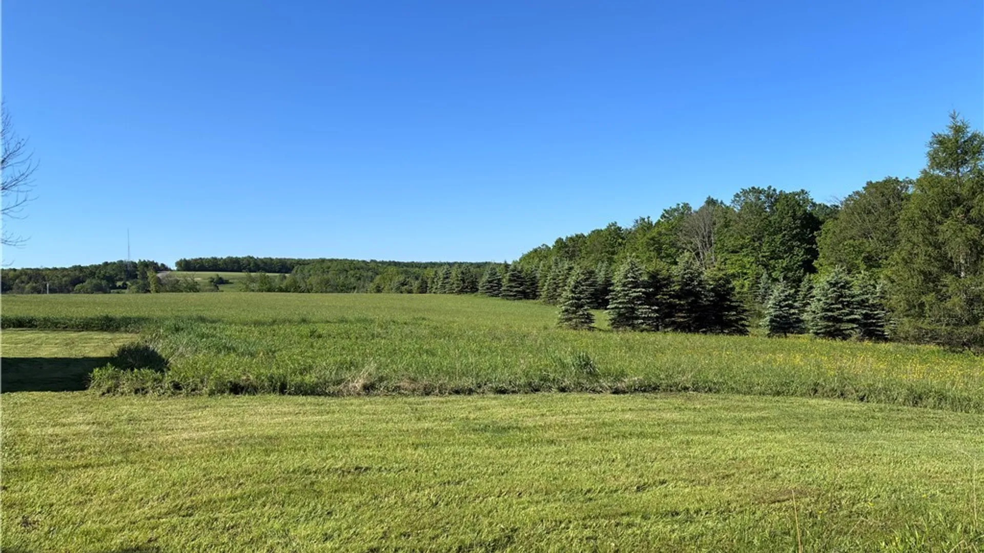 Property at 8905 Tug Hill Road, Machias, NY 14101 44