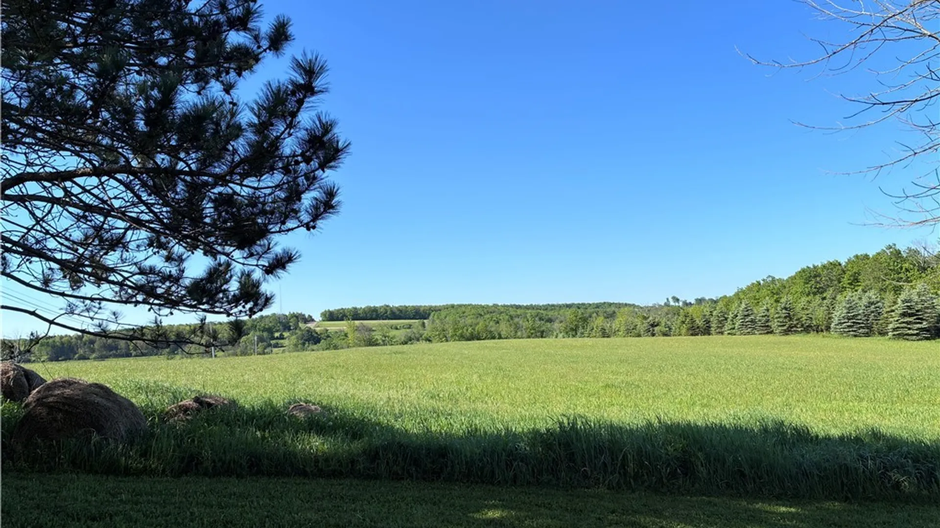 Property at 8905 Tug Hill Road, Machias, NY 14101 47