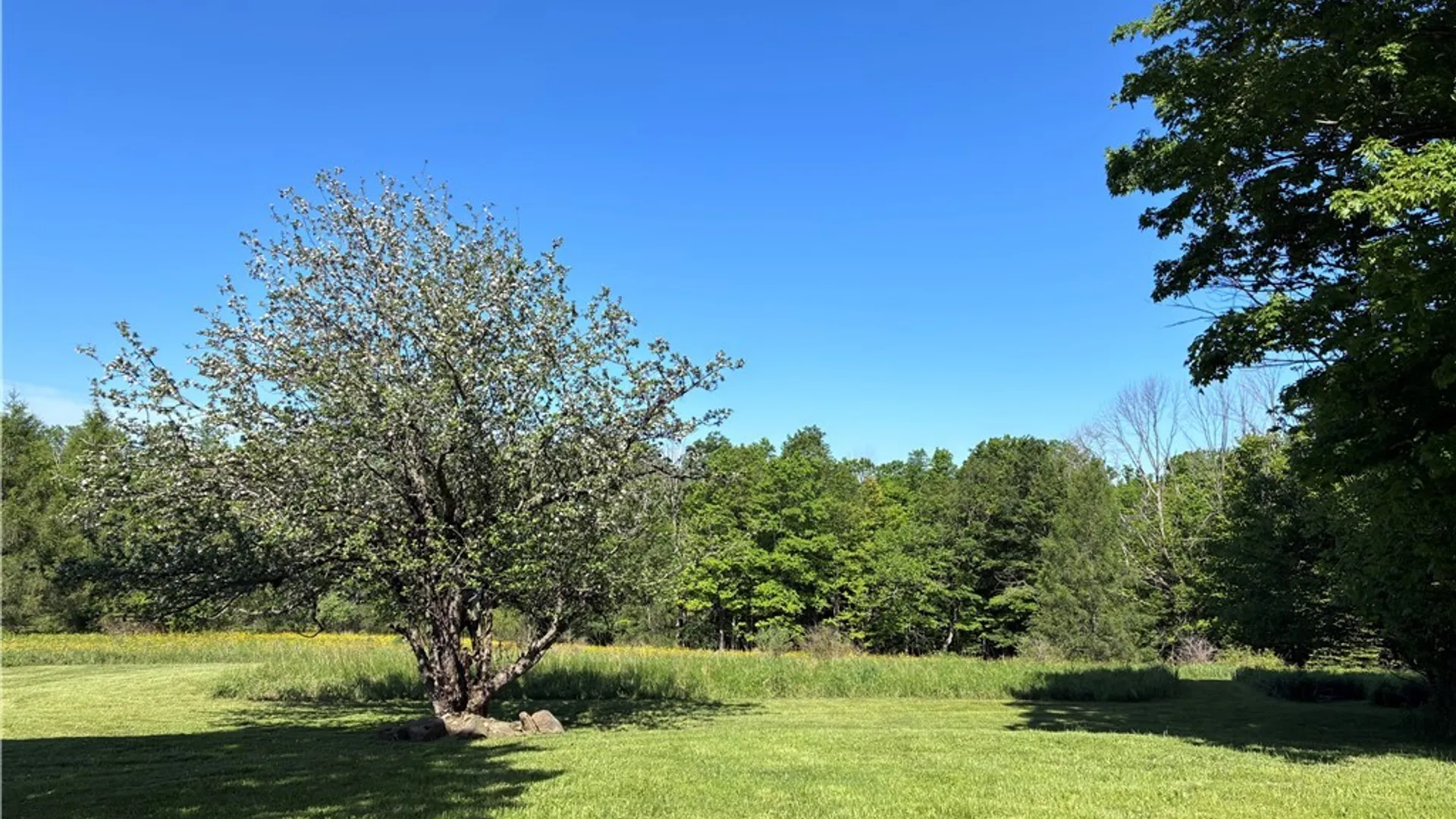 Property at 8905 Tug Hill Road, Machias, NY 14101 50