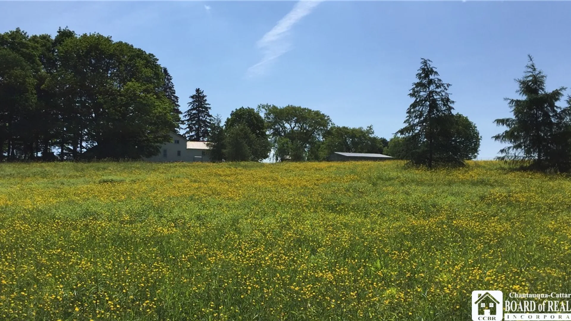 Property at 8905 Tug Hill Road, Machias, NY 14101 9
