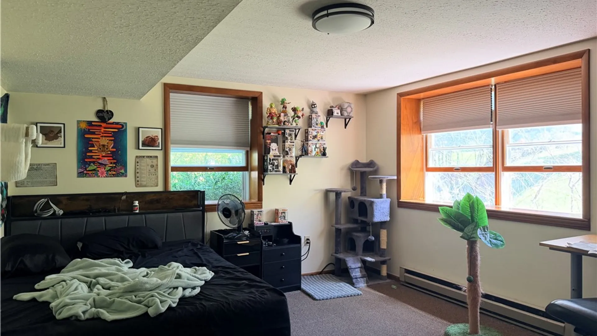 Property at 40 Pine Hill Drive, Alfred, NY 14802 19