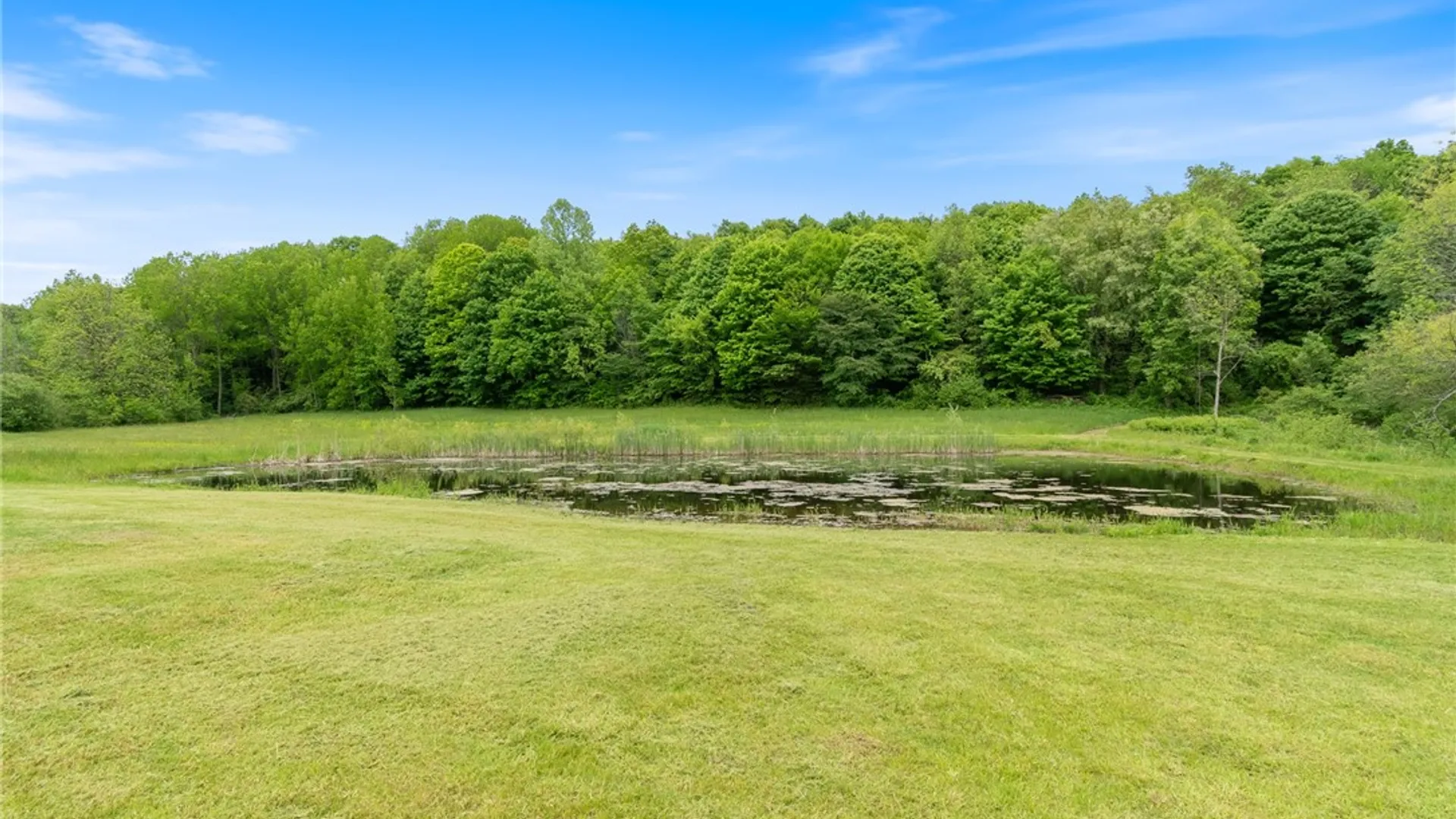 Property at 8145 Dutch Street Road, Huron, NY 14590 48