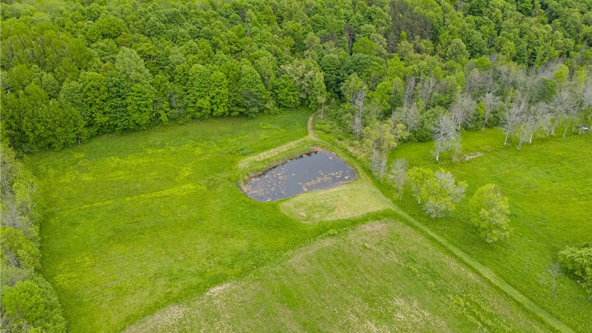 Property at 8145 Dutch Street Road, Huron, NY 14590 49