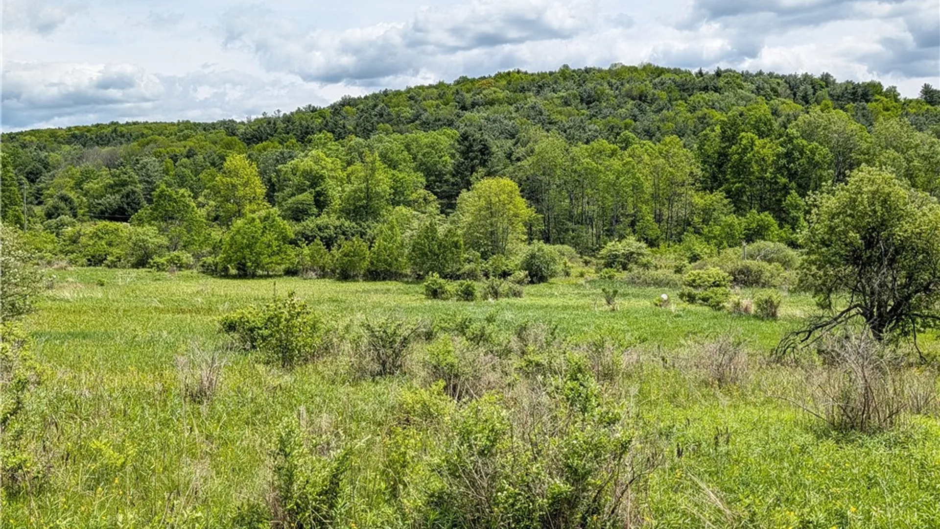 Property at 1438 County Highway 4, Butternuts, NY 13825 9