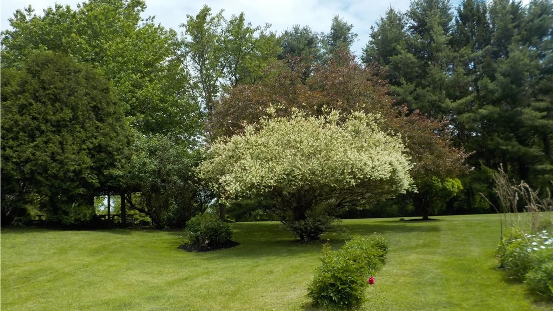 Property at 11100 Duck Lake Road, Conquest, NY 13143 10