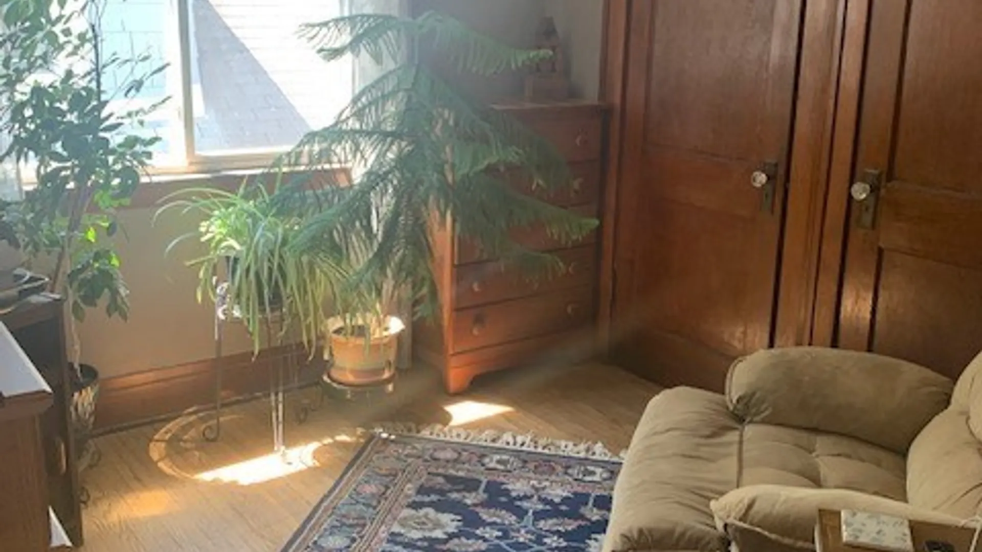 Property at 77 Whitehall Avenue, Buffalo, NY 14220 24