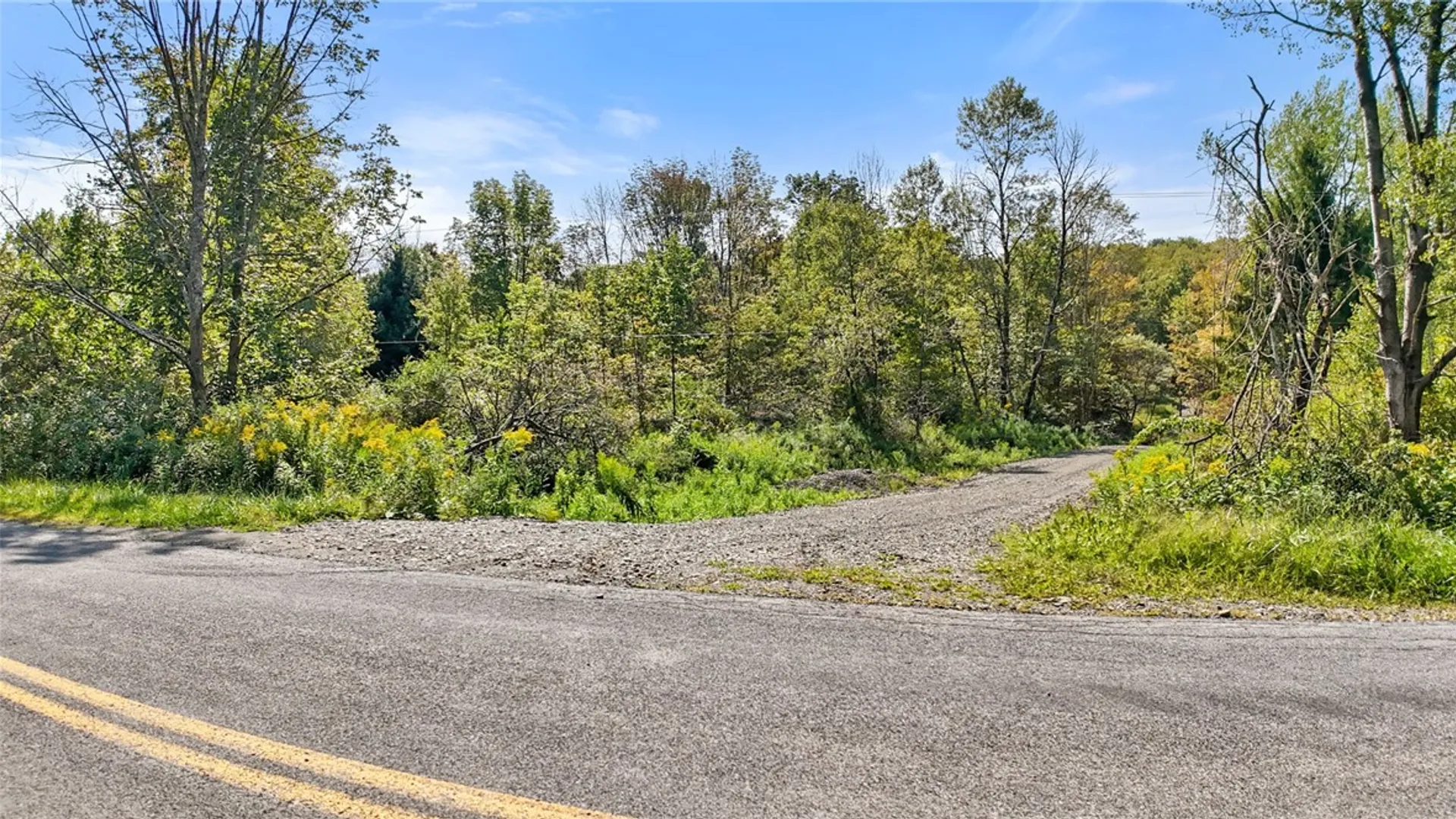 Property at 541 Blackman Hill Road, Caroline, NY 13736 2