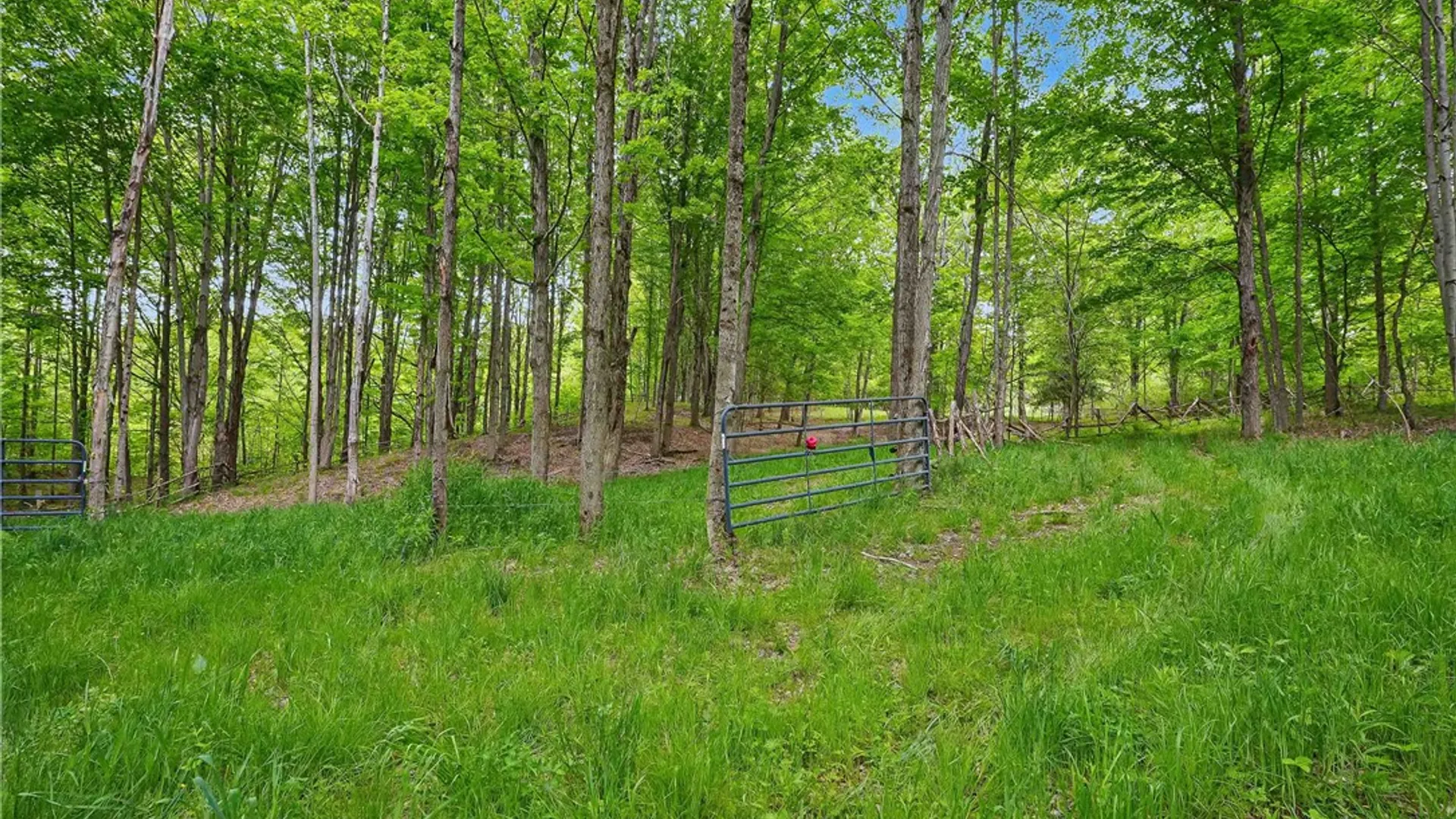 Property at 3356 Joe Mcmahon Road, Birdsall, NY 14709 41