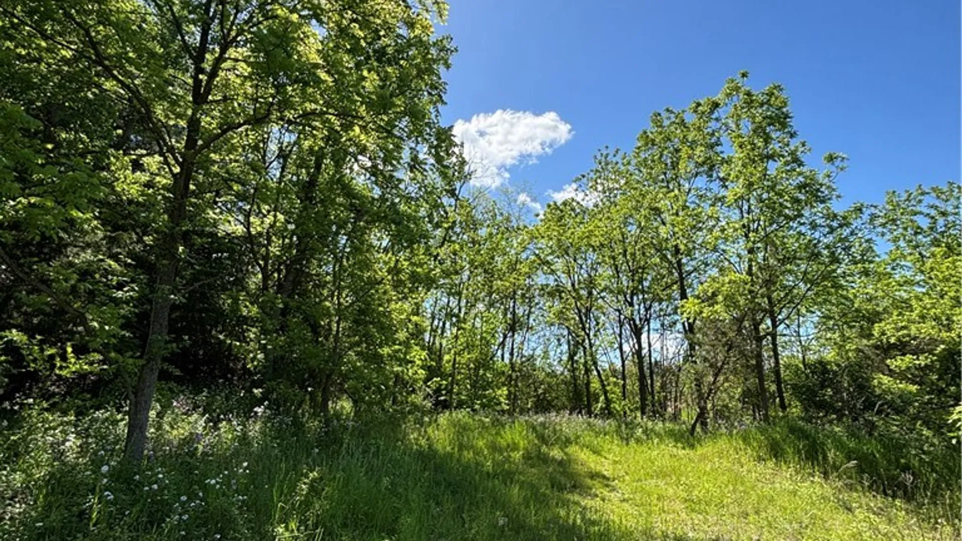 Property at 0 Cr-8, Montour, NY 14865 2
