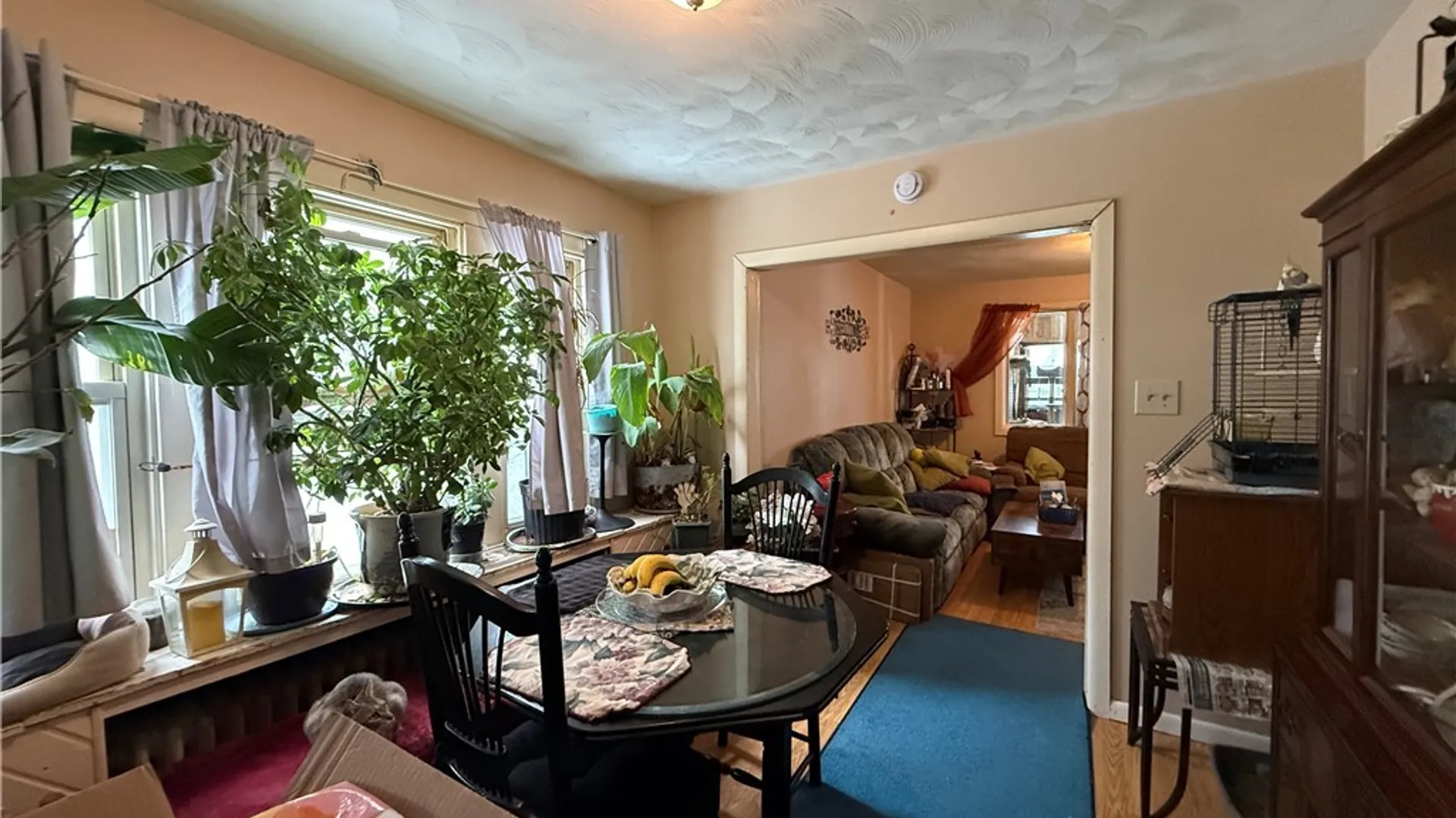 Property at 163 Farmer Street, Buffalo, NY 14207 12