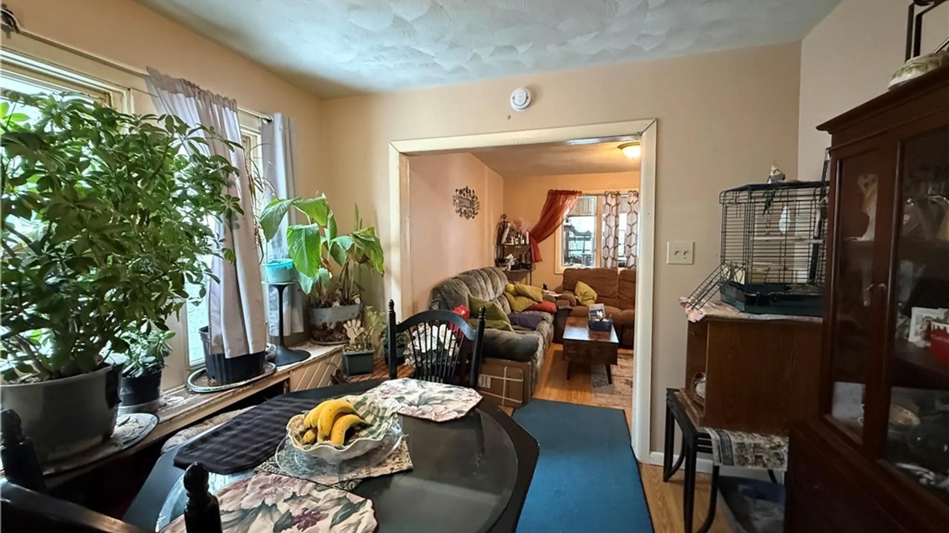 Property at 163 Farmer Street, Buffalo, NY 14207 9
