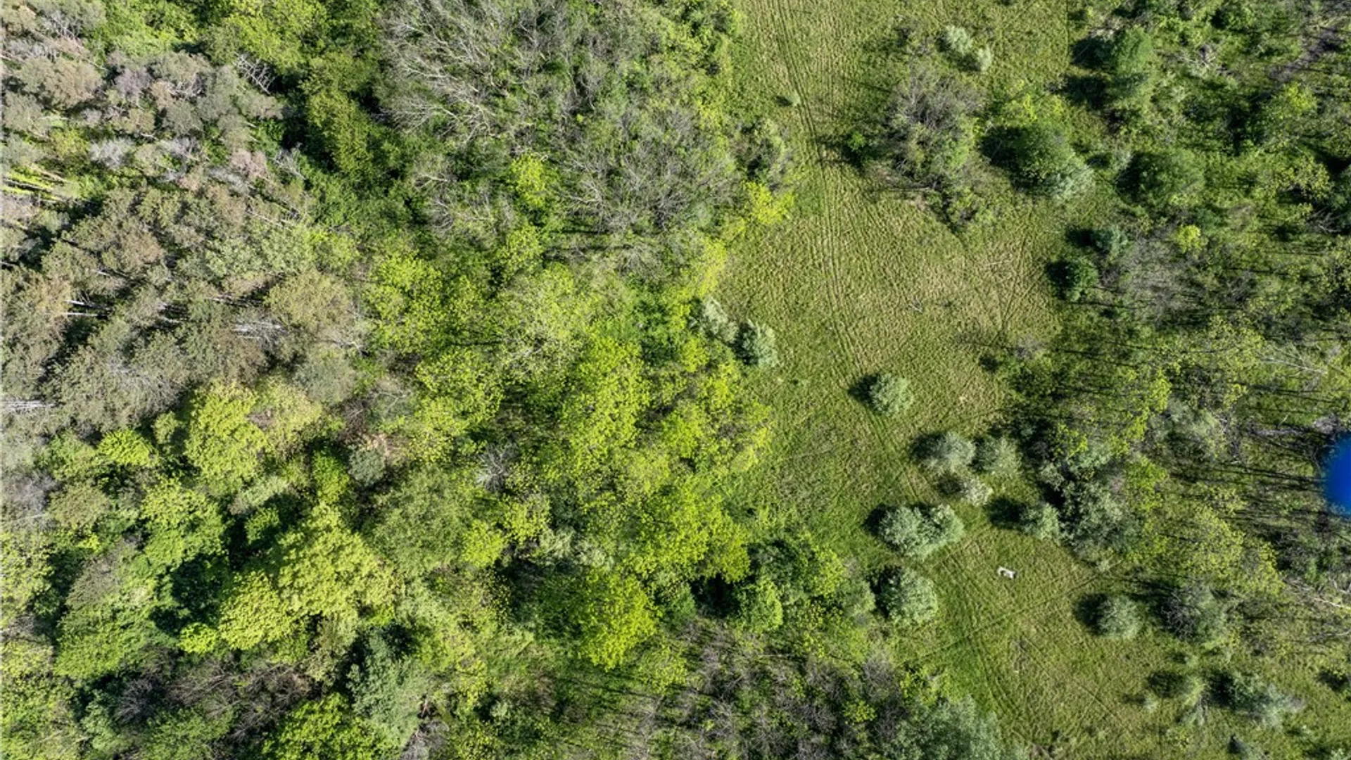 Property at 0 Esperanza Road Lot A Road, Jerusalem, NY 14478 3