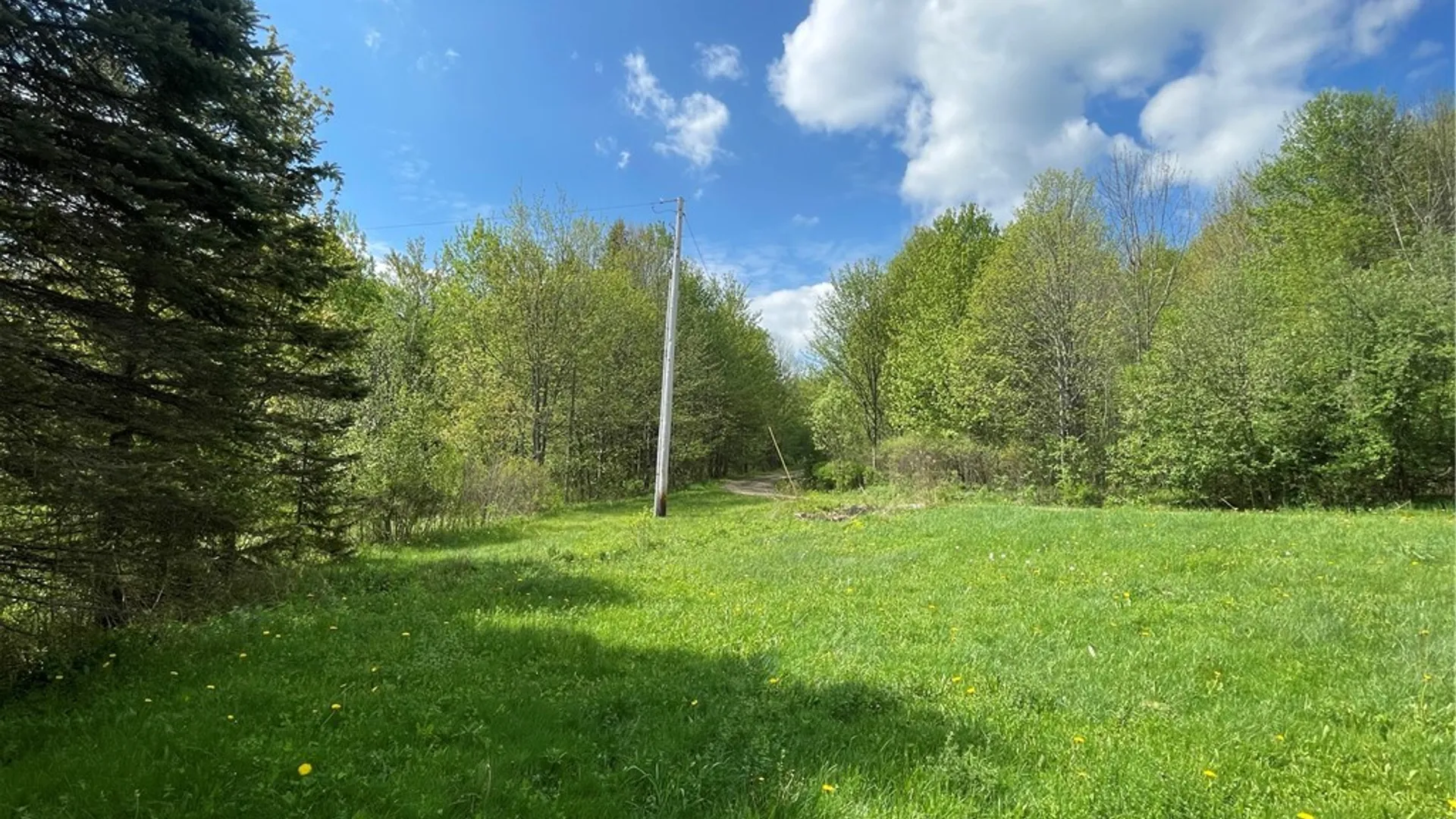 Property at 174 Peraglie Road, Jefferson, NY 12093 11