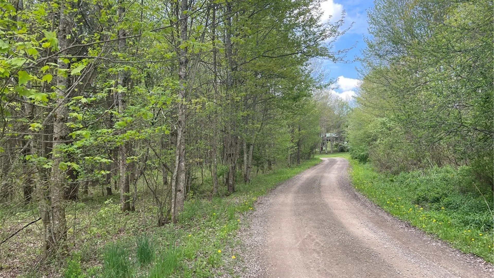 Property at 174 Peraglie Road, Jefferson, NY 12093 12