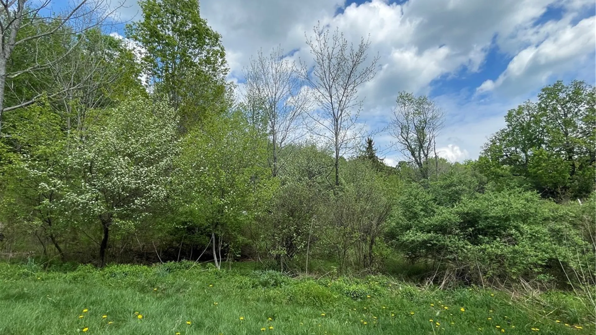 Property at 174 Peraglie Road, Jefferson, NY 12093 3