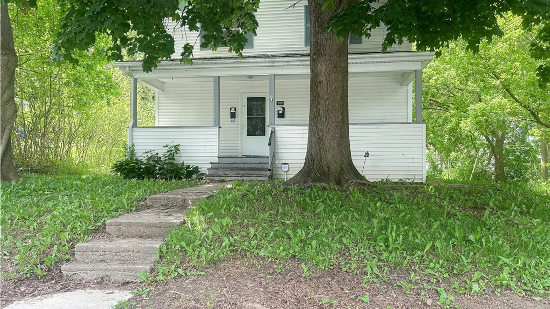 Property at 389 Lillian Avenue, Syracuse, NY 13206 2